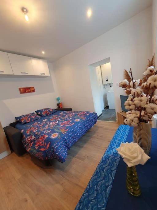 Appart'Hotel, Ikimo 5 Appartements Entiers A Votre Disposition Au Choix Nancy Esterno foto