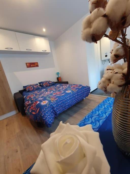 Appart'Hotel, Ikimo 5 Appartements Entiers A Votre Disposition Au Choix Nancy Esterno foto